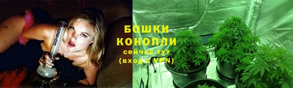 винт Дегтярск